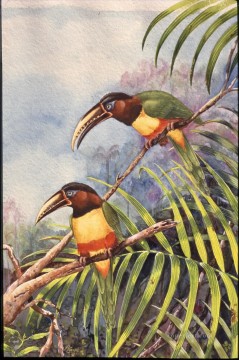 花 鳥 Painting - 長いくちばしの鳥を持つオウム